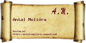 Antal Melióra névjegykártya